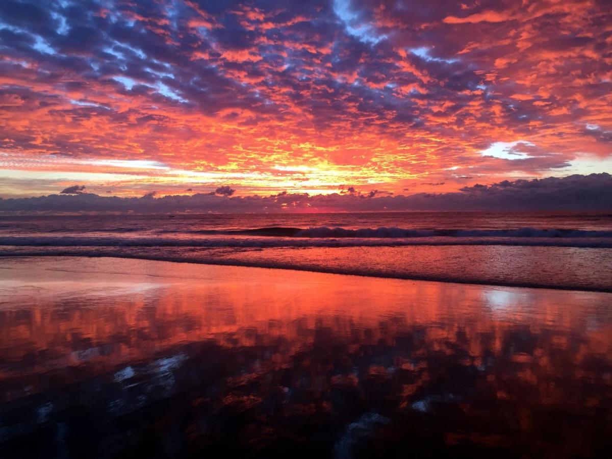 Absolutely Stunning! On The Beach !!! غولد كوست المظهر الخارجي الصورة